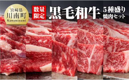 黒毛和牛5種盛り 焼肉セット（数量限定）300g 【 肉 牛肉 国産 宮崎県産 黒毛和牛 ミヤチク BBQ バーベキュー 送料無料