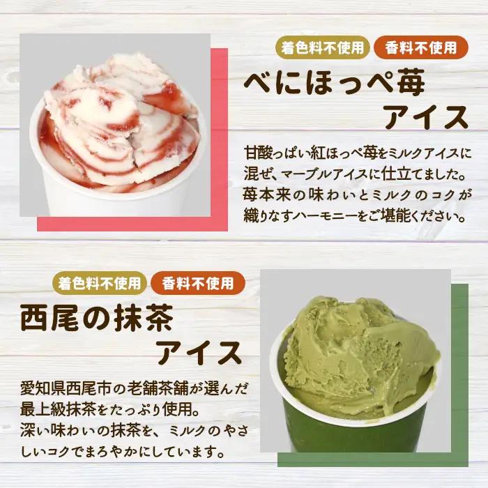 〈スピード発送〉南信州根羽村 ご当地６種のアイスクリームセット 16個 生ソフトクリームアイス バニラアイス 西尾抹茶 抹茶 りんご 紅ほっぺ いちご 苺アイス ブルーベリー フレーバー 詰め合わせ 