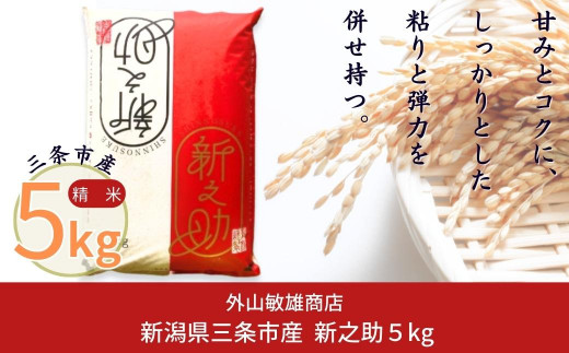 新潟県産 新之助 5kg 令和7年産 新之助 三条市産 新之助 精米 新之助 [ 外山敏雄商店 ] 新之助 【010S257】
