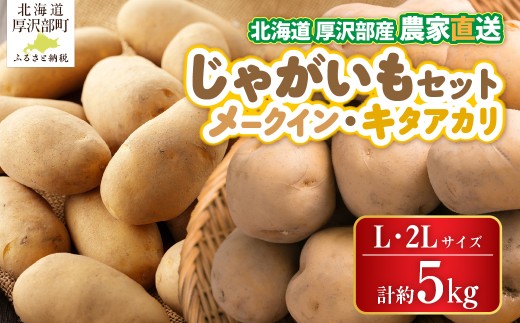 【2026年9月下旬より発送】北海道厚沢部町産 メークイン 約2.5kg・キタアカリ 約2.5kgセット 計約5kg【Ｌ・2Lサイズ】 【 ふるさと納税 人気 おすすめ ランキング じゃがいも ジャガイモ メークイン キタアカリ カレー コロッケ 煮物 肉じゃが フライドポテト ポテトサラダ じゃがバター シチュー 食べ比べ 北海道 厚沢部 送料無料 】 ASO037