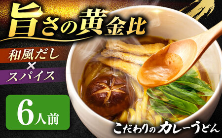カレーうどん 6人前 うどん【配達不可：離島】[AEAP046]