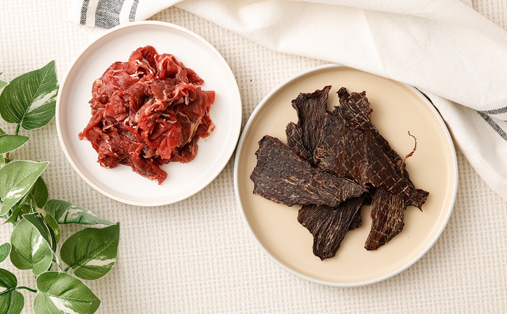 【定期便3回】 ペット用馬肉 1kg ＋ 馬刺しジャーキー 100g （50g×2袋） 1.1kg×3回 計3.3g