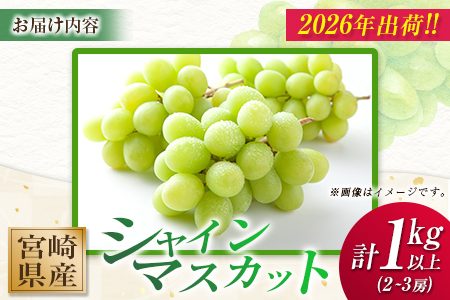 先行予約 人気の種なしぶどう！シャインマスカット 2房 計1kg以上 宮崎県産 2024年出荷【A256-24】
