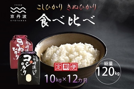 【12回定期便】 京丹波こしひかり きぬひかり 食べ比べセット 10kg×12カ月連続 合計120kg 令和8年産 [216MB003R]