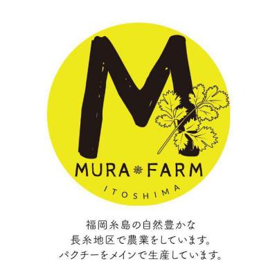ふるさと納税 糸島市 糸島産 パクチー 600g ( 100g × 6袋 )  [AFD001] |  | 02
