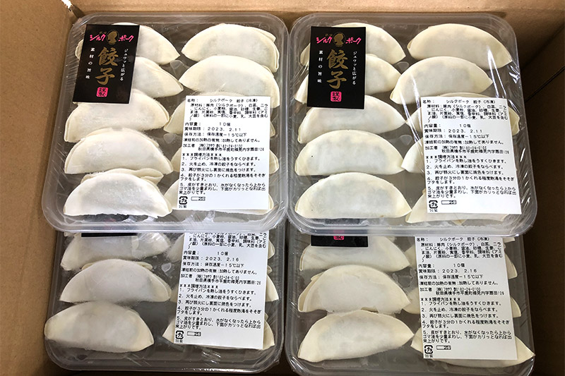 シルクポーク餃子 10個入×10パック