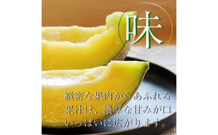【奇数月6ヶ月定期便】クラウンメロン【並（白等級）】小玉（1.1kg前後）6玉入り 