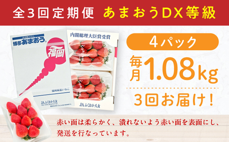 【3回定期便】博多あまおう 2ケース　広川町 / JAふくおか八女農産物直売所どろや[AFAB081]