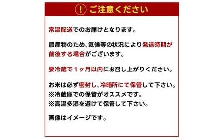 先行予約 令和8年産【3ヶ月定期便】 米 コシヒカリ 10kg × 3回 精米 鹿嶋市産