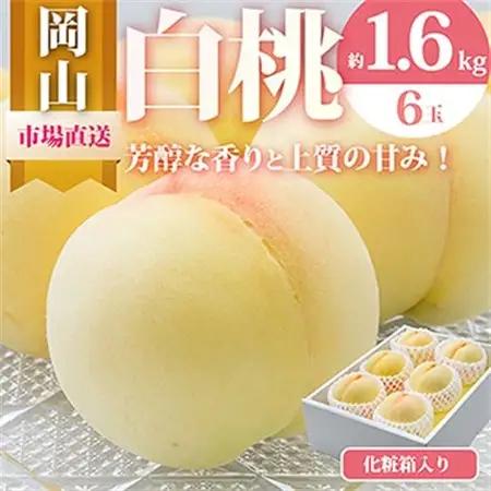 【先行受付】岡山県産　白桃6玉(1.6kg以上)　化粧箱入り【配送不可地域：離島・北海道・沖縄県】【1281362】