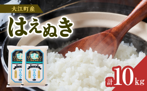 《先行受付》【新米】大江町産 はえぬき 10kg(5kg×2袋)【山形県産】【2025年度産米 10月頃より順次発送予定】