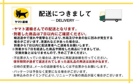 【定期便4か月】アサヒ生ビール（マルエフ）500ml×24本（1ケース） 