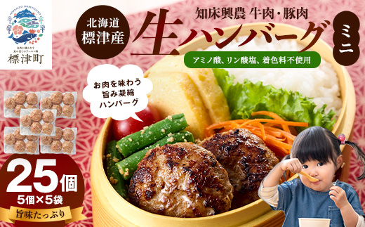 北海道産 生ハンバーグ ミニ 25個 セット ( 5個 × 5パック ) 冷凍 手作り ハンバーグ 国産 保存料不使用 牛肉 豚肉 ギフト お弁当 子供 子ども こども 安全 アミノ酸不使用 リン酸塩不使用 着色料不使用 牛 豚 肉 肉加工品 加工品 国産肉 国産豚 国産牛 はんばーぐ hannba-gu 冷凍食品 ロコモコ ロコモコ丼 小さめ 便利 パック 北海道 標津町