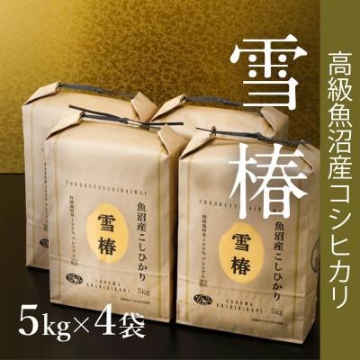ふるさと納税 津南町 高級魚沼産コシヒカリ「雪椿」精米20kg(5kg×4袋)　特別栽培米　※一括配送