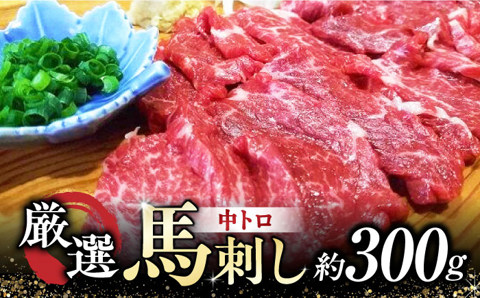 
熊本 馬刺し 「なか園」 厳選の馬刺し 約３００ｇ [ZBV009] 馬刺 馬肉 熊本
