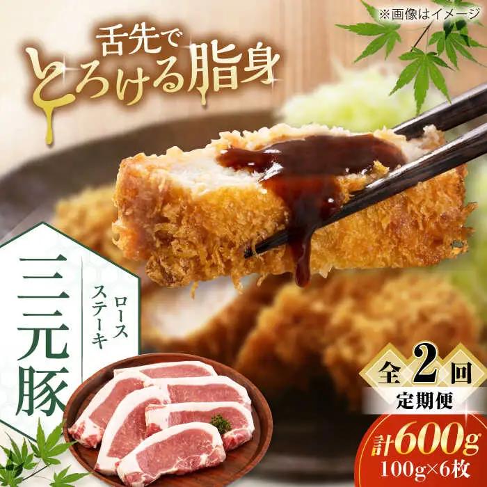 【全2回定期便】平田牧場 ロース ステーキ 600g  (100g×6枚) ※藻塩ナシ 豚肉 とんかつ 生姜焼き[AJAP086]