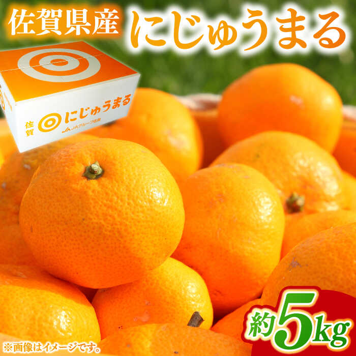 【ふるさと納税】【2027年3月以降発送】佐賀県産にじゅうまる 5kg / みかん 柑橘 果物 フルーツ / 佐賀県 / ふるさとの恵み [41AQAA059]