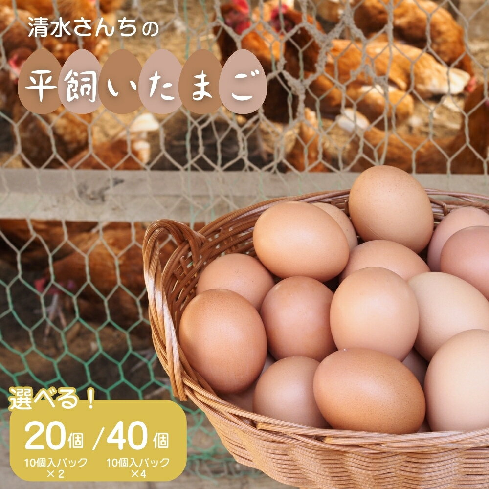 【ふるさと納税】平飼いたまご 卵 20個 40個 平飼い卵 平飼い玉子 自然卵 たまご 玉子 選べる 大人気 料理 卵かけご飯 おいしい 美味しい うまい 自然 八街 送料無料 国産 千葉県 オススメ おすすめ