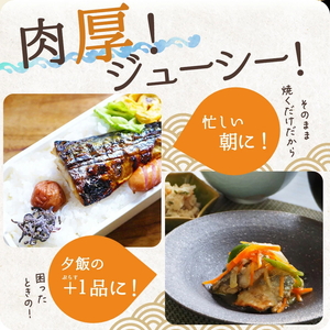 【ご家庭用　訳あり】無添加　塩さばフィレ　1kg ※着日指定不可