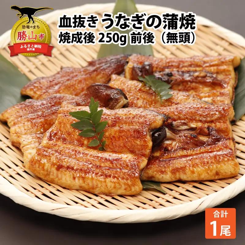 うなぎ蒲焼 国産 250g うなぎ