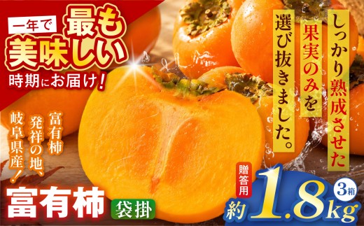 【贈答用・桐箱】先行予約 令和8年12月中旬順次発送 袋掛け 富有柿 ( 6個 ／ 1.8kg ) 3箱 |【お歳暮やご挨拶に選ばれる】 完熟収穫が生む格別な甘み 柿 富有柿 フルーツ 果物 完熟 国産 贈答用 贈り物 手土産 ギフト プレゼント お歳暮 季節の果物 高級 岐阜県 本巣郡 北方町