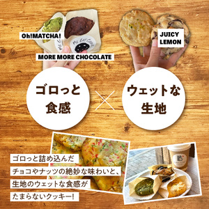 クッキー10種セット  クッキー 焼菓子 洋菓子 チョコレート 抹茶 バニラ オレオ レモン ホワイトチョコ キャラメル イチゴ パイン 奈良県 生駒市 送料無料
