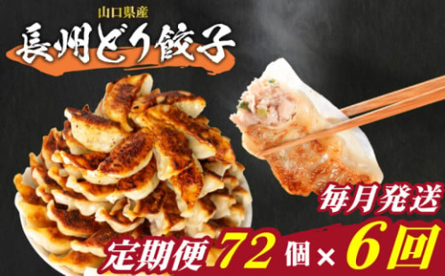 訳あり 長州どり餃子 6回 毎月 定期便 72個 12個×6パック 冷凍 小分け 大容量 ぎょうざ ギョウザ ギョーザ