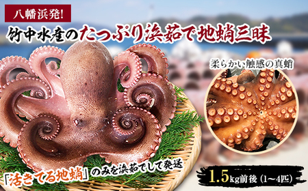 八幡浜発!竹中水産のたっぷり「浜茹で地蛸」三昧!1.5kg前後【F22-189】【配送不可地域：離島】【1043154】