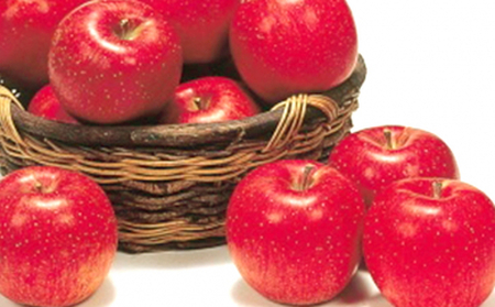 2026年産 りんご 長野 特選 贈答用 シナノスイート 10kg （28～36玉） 産地直送 ギフト プレゼント 贈答 贈答品 贈り物 フルーツ 果物 デザート おやつ リンゴ 林檎 秋 旬 信州 