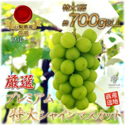 【2026年発送】厳選!プレミアムシャインマスカット1房　(700g以上サイズ)【配送不可地域：離島】
