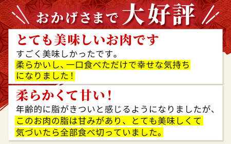 佐賀牛 サーロインステーキ200g HBH007 ステーキ サーロイン 佐賀牛 和牛 国産