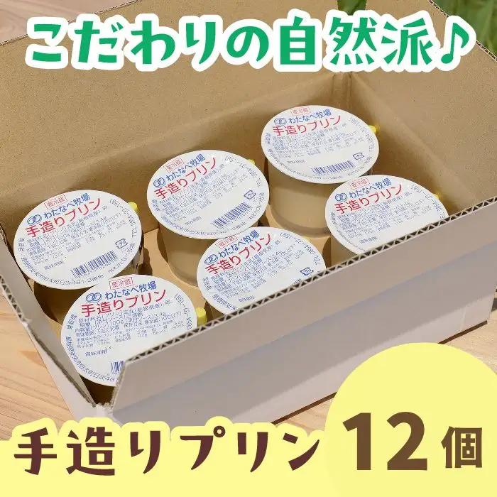 【テレビで紹介されました】手造りプリン12個セット／ 冷蔵 ネッカ牛乳 ネッカ卵 蒸しプリン ソース別 素朴 デザート スイーツ おやつ グルメ ご褒美 新鮮 生乳 搾りたて 自然派 お土産 自宅用 