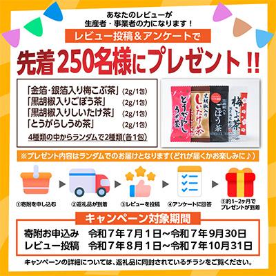 レビューキャンペーン実施中!飛騨牛　霜降・赤身スライス食べ比べセット　計1.2kg  A4～A5等級【配送不可地域：離島】