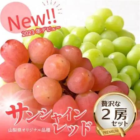 2026年発送【数量限定】希少な新品種サンシャインレッドと大人気シャインマスカットの贅沢2房セット【配送不可地域：離島・沖縄県】【1688207】