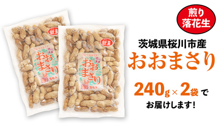 おおまさり 煎り落花生 合計480g (240g×2袋) 【2025年11月上旬から発送開始】 簡易包装 ポスト投函 ご自宅用 ピーナッツ 落花生 おつまみ おやつ お菓子 ナッツ [BB013sa]