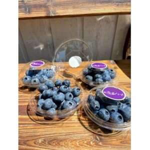 大粒・完熟ブルーベリー【知多のアメジスト】100g×4パック※2026年5月上旬より順次発送※【配送不可地域：離島】【1387286】