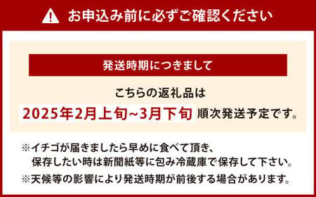 【栽培期間中農薬不使用】天姫（あまひめ）イチゴ 200g×4パック 合計800g【2025年2月上旬～3月下旬発送予定】いちご 苺 フルーツ 果物 くだもの 福岡県 北九州市