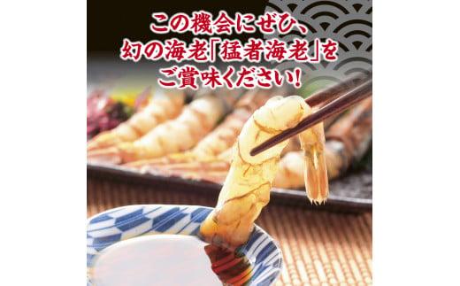 猛者海老 15匹×3パックセット【山根商店】
