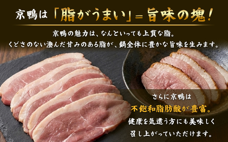 オンリー鴨ん!? 飲食チケット 3000円分（1000円×3枚） 【kt107-005】