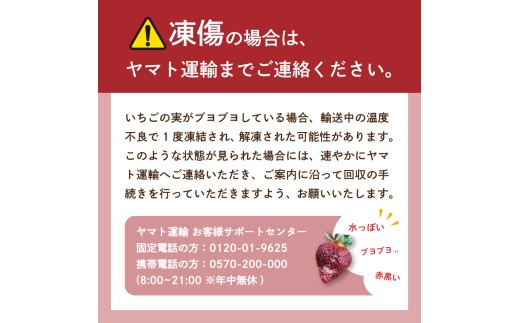 【2027年4月発送予定】【アフター保証】うるう農園特別栽培あまおう約250g~270g×6P (不揃い) 冷蔵 小分け いちご 苺 イチゴ フルーツ 果物 スイーツ くだもの 冬 春 旬 福岡 九州