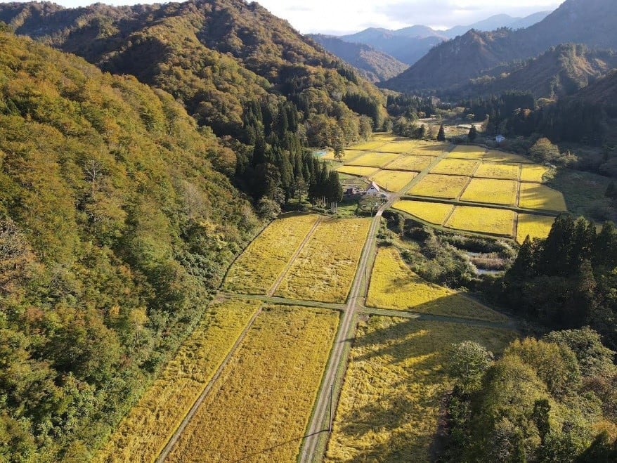 最後の集落から車で15分ほどの秘境の地。ToBufarmがずっと守ってきた自慢の田んぼです。
田んぼの水は奥の飯豊連峰から。