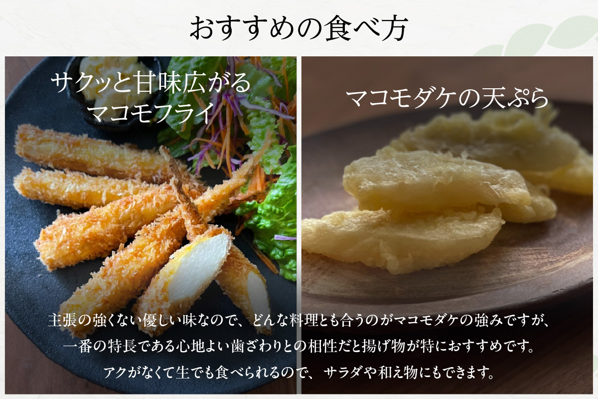 知立市特産　マコモタケ(1.3kg)　（7～10本）（2124）