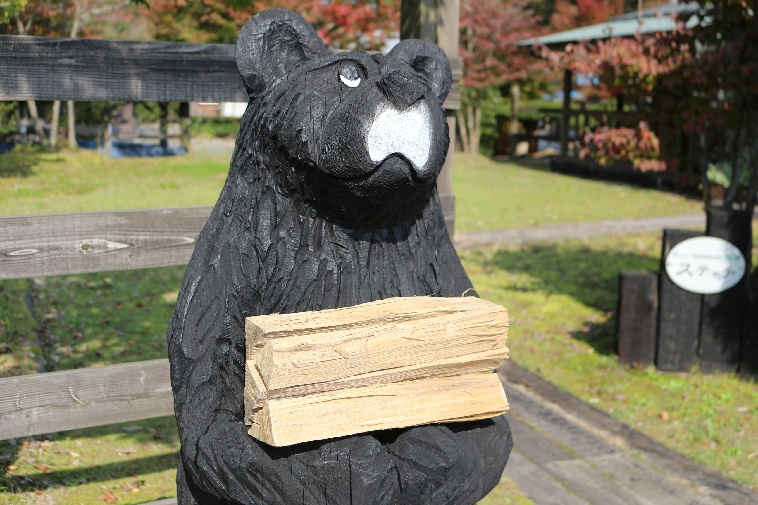 飯南町の森林で今年の冬は温まってみてはいかがでしょうか。（返礼品は薪のみです。）