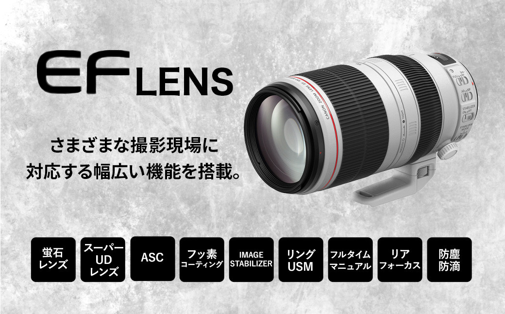 ＜レンズEF100-400mm F4.5-5.6L IS II USM>3ヶ月以内に順次出荷