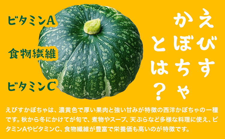 千虎 えびすかぼちゃパイ 詰合せ 21個入り かぼちゃ《30日以内に出荷予定(土日祝除く)》北海道 名寄市 お菓子 ギフト プレゼント 贈り物 お中元 お祝い スイーツ パイ---nayoro_nkm