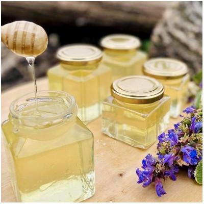 ふるさと納税 千曲市 【極上四季の純粋生蜂蜜】ずくなし農園　薬剤不使用・砂糖無給餌・非加熱・花粉無濾過 230g×3種類