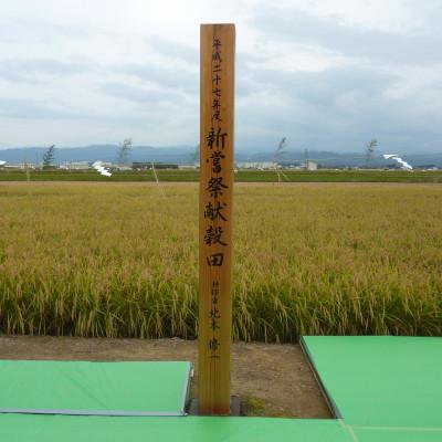 ふるさと納税 能美市 北本農場のお米石川県産ひゃくまん穀白米10kg×1袋 |  | 01