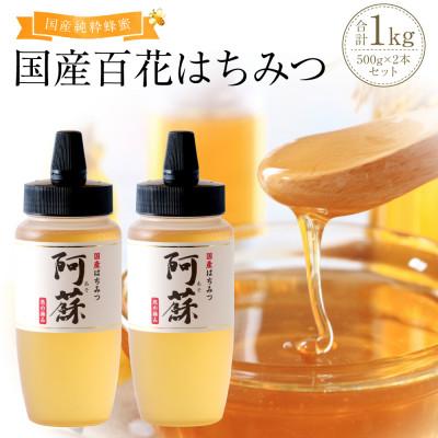 ふるさと納税 高森町 【4月・5月】国産はちみつ1kg 阿蘇 純粋蜂蜜(とんがりポリ容器500g×2本セット)(高森町)
