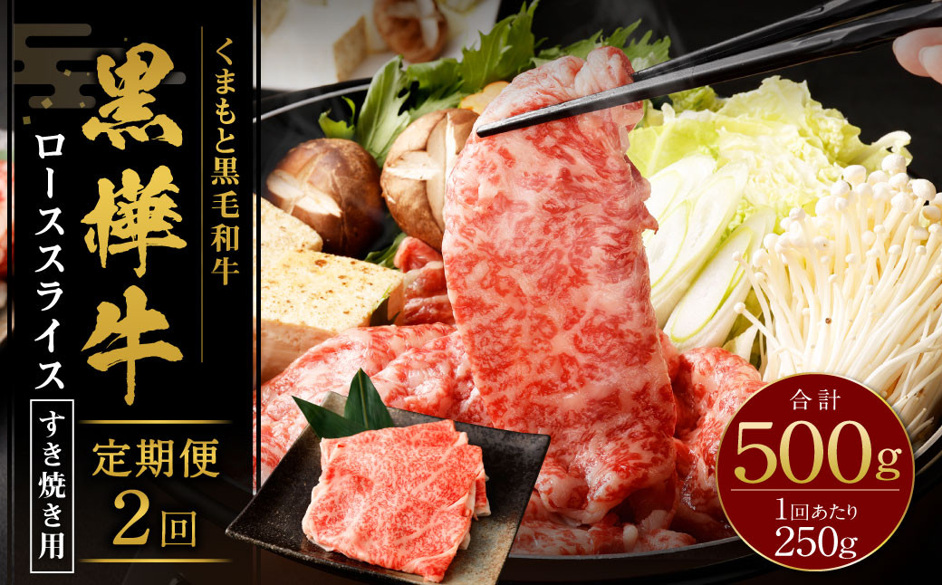 
            【2回定期便】 黒樺牛 ロース すき焼き用 250g 計500g 黒毛和牛 霜降り肉 すき焼き しゃぶしゃぶ 冷凍
          