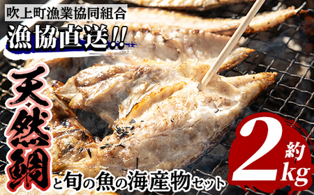 No.317 海産物セット 天然鯛！タイと旬の魚の干物・旬の魚の竜田揚げの素セット(干物5尾以上・竜田揚げの素1袋・計約2.0kg)【吹上町漁協】